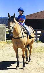 horse back riding lessons