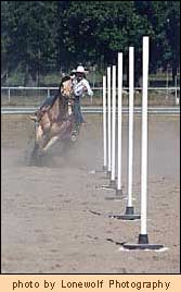 horseback pole bending lessons