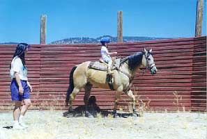 horseback riding lessons