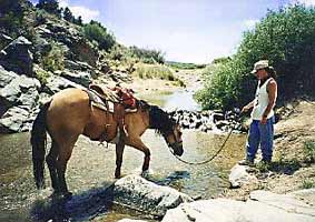 Trail rides on horses back in California